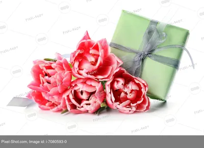 Фотообои Цветы на белом фоне купить в Москве, Арт. 10-618 в  интернет-магазине, цены в Мастерфресок