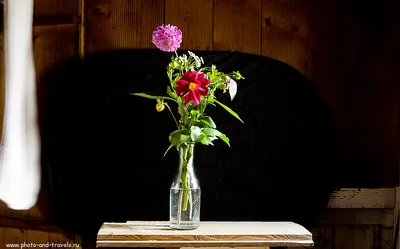 Фото Букет цветов на черном фоне