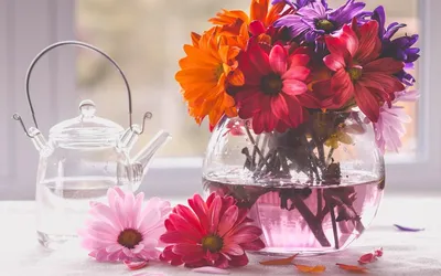 розовые цветы в вазе на белом столе, высокое разрешение, цветок, цветочная  композиция фон картинки и Фото для бесплатной загрузки
