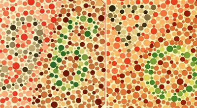 Онлайн-тест на дальтонизм | Тест на цветовосприятие на сайте АО  «МАКДЭЛ-Технологии»