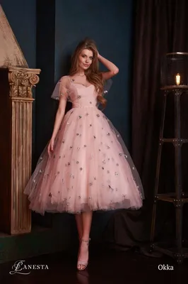 12 красивых вечерних платьев на выпускной Lanesta 2019 | Вечерние платья,  Платья, Платье для выпускного вечера