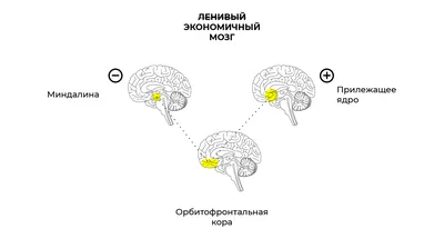 Сила подсознания: влияют ли мысли на нашу жизнь — Баттхёрт