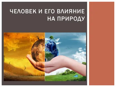 Открытый урок на тему: «Влияние деятельности человека на природу» |  Бишкекский инновационный колледж