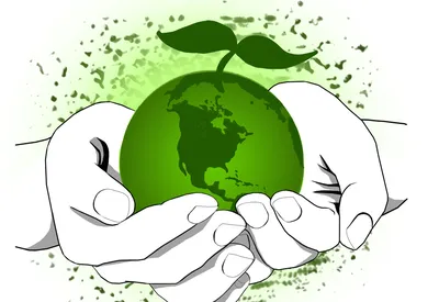 Земля - наш дом. Влияние человека на природу. Как можно решить проблемы  окружающей среды? | Your day | Дзен