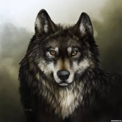 Животные, #Волки, #аватары, #картинки, #фото, #авы,  https://avatarko.ru/kartinka/11058 | Реалистичный рисунок, Серые волки,  Самые милые животные