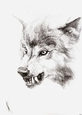 ❤ фурри арт неоново красный волк, …» — создано в Шедевруме