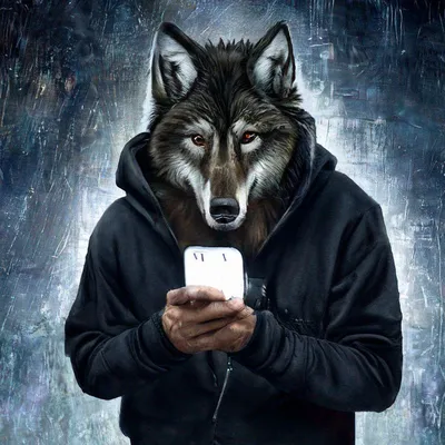 Черный волк обои на телефон - 75 фото
