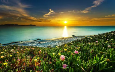 Восход солнца над морем, взгляд от пляжа к горизонту Стоковое Изображение -  изображение насчитывающей горизонт, вода: 155607305