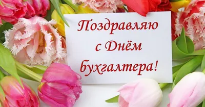 Вітання з Днем бухгалтера 2023 в Україні: картинки та листівки у смс