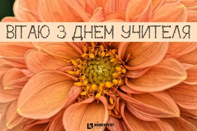 День вчителя в Україні - святкові вітання та листівки - «ФАКТИ»