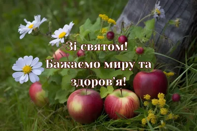 З Яблучним Спасом 2 021 - привітання, побажання, картинки, листівки та  відео | OBOZ.UA