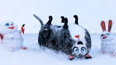 одетый кот на снегу :: безудержное веселье :: Зима не страшна :: домашние  животные :: фотография :: котэ (прикольные картинки с кошками) / смешные  картинки и другие приколы: комиксы, гиф анимация, видео, лучший  интеллектуальный юмор.