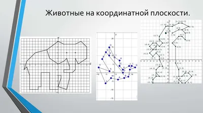 Картинки на координатной плоскости животные » DreemPics.com - картинки и  рисунки на рабочий стол бесплатно