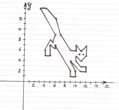 Ось координат рисунок животных (46 фото) » рисунки для срисовки на  Газ-квас.ком
