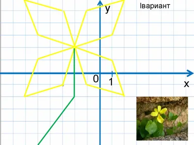 Координатная плоскость - FOR-TEACHER.ru