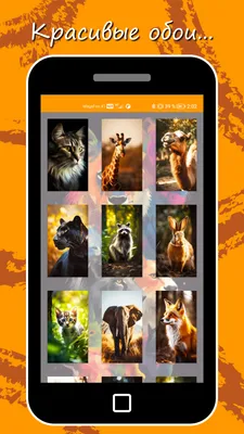 Обои на телефон Животные, HD картинки | Zamanilka