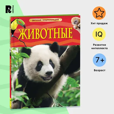 Большое Gaur в красивом пейзаже. Волосатое диких животных в природе коровы.  Год крупного рогатого скота или индийского буффало бык Стоковое Фото -  изображение насчитывающей корова, волы: 206278758