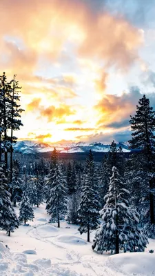 Картинки зима на телефон самсунг фотографии