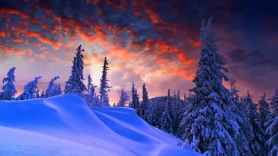 Обои Зимний пейзаж Природа Зима, обои для рабочего стола, фотографии Обои  для рабочего стола, скачать обои картинки заставки на рабочий стол.