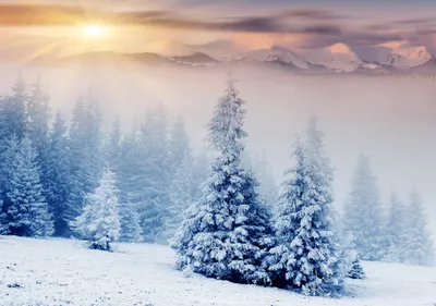 Красивые картинки с зимой скачать бесплатно на заставку телефона (38 фото)