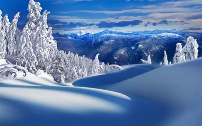 Обои зима, снег, горы, Ёлки на рабочий стол