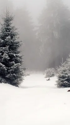 Заставка Виндоус xp, снег, зима, 4k…» — создано в Шедевруме