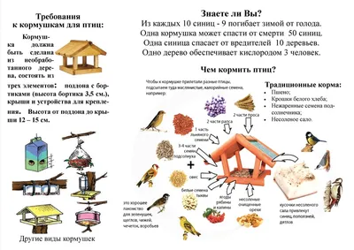 Блог учителя-дефектолога Соколовской Ирины Игоревны: Зимующие птицы