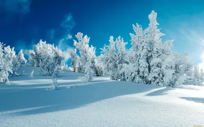 Фотографии Зима Природа Времена года 1920x1080
