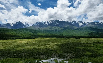 Молодая Девушка С Казахский Флаг — стоковые фотографии и другие картинки  Весёлый - Весёлый, Взрослый, Выражение лица - iStock