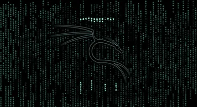 фон кода хакерской империи Обои Изображение для бесплатной загрузки -  Pngtree