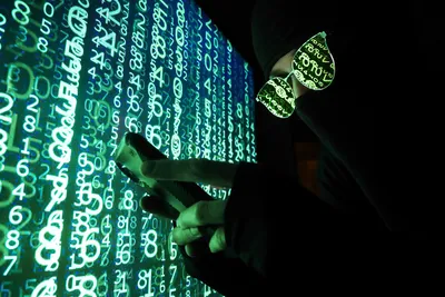 Автор DDoS-атаки на «Аэрофлот» из Новосибирска о розыске хакеров из России