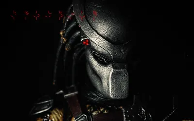 Обои Predator Кино Фильмы Predator, обои для рабочего стола, фотографии  predator, кино, фильмы, хищник Обои для рабочего стола, скачать обои  картинки заставки на рабочий стол.