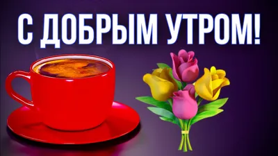 Учим красивые фразы на итальянском!🇮🇹 Фраза дня: Каждый раскрашивает свою  картину жизни своими цветами. | ВКонтакте