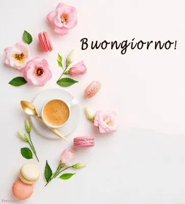 Buon fine settimana! — Хороших выходных! Buone vacanze! — Хорошего отдыха  (отпуска /каникул)! .. | ВКонтакте