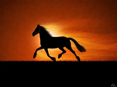 Картинки Лошади Кони рыжие животное