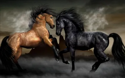 Обои природа, животные, лошади, кони, грива для рабочего стола #281564