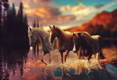 Фон рабочего стола где видно картина, графика, кони бегущие по воде, осень,  пейзаж, painting, drawing, horses running in the water, autumn, landscape