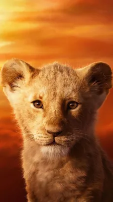 Король лев🦁💗 | Lion king, Lion king poster, Lion king pictures