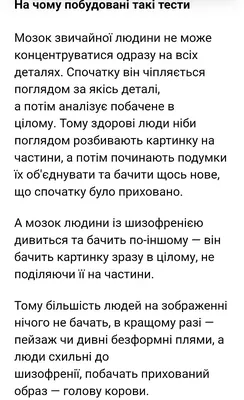 Математик Роман Михайлов: «Шизофрения просто хохочет над этим вопросом» -  Инде