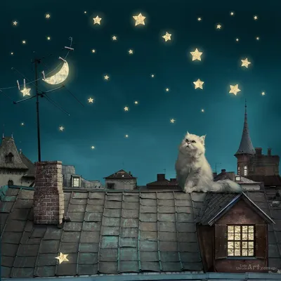 Коты на крыше ночи иллюстрация штока. иллюстрации насчитывающей облака -  52605882
