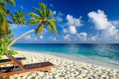 Скачать обои море, пляж, тропики, пальмы, отдых, раздел природа в  разрешении 2156x1440 | Тропический пляж, Курорты с пляжами, Пляжная  фотография