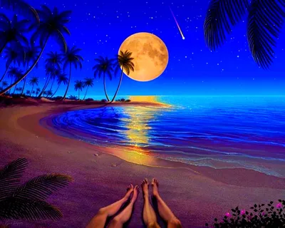 Обои луна, море, пляж, пальмы на рабочий стол