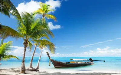 Скачать обои пейзаж, море, пляж, лодка, пальмы разрешение 1920x1200 #51291