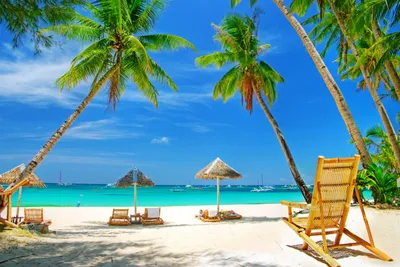 Обои фото Океан Пейзаж Большие пальмы 368x254 см 3Д Солнечный морской пляж  (736P8)+клей купить по цене 1200,00 грн