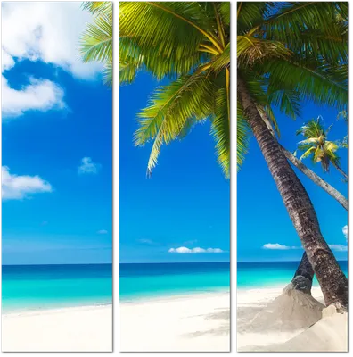 Красивые картинки море пляж пальмы фото