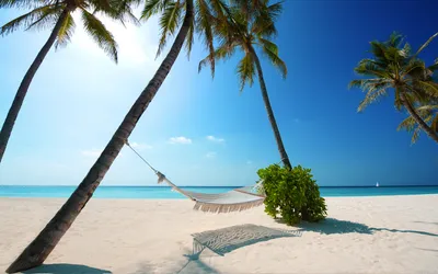 Красивый пляж с пальмами и парусником в море Стоковое Фото - изображение  насчитывающей мальдивы, канкун: 115125808