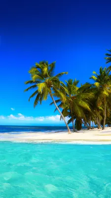 Модульная картина Красивые пальмы на белом песчаном пляже: - Арт. 140110 |  Купить в интернет-магазине Уютная стена