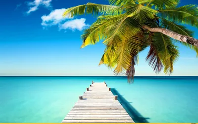 Красивый тропический пляж и море с кокосовой пальмой на райском острове |  Премиум Фото
