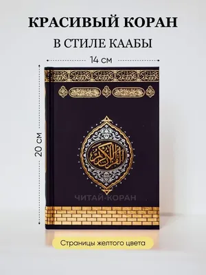 Топ: 10 красивых способов сказать \"Я люблю тебя\" на арабском языке (фразы и  фотографии)