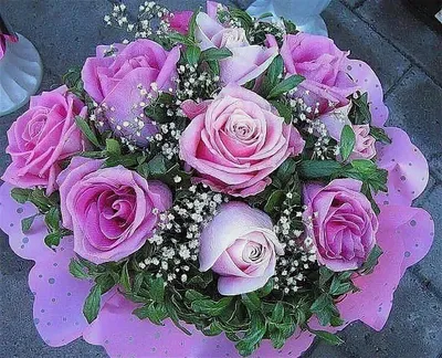 Цветы на ватсап - 35 фото | Красивые цветы, Цветы, Красивые розы